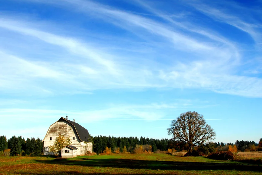 barn2 09.jpg