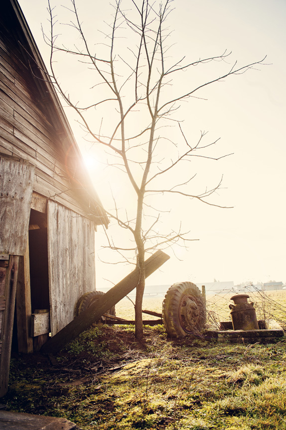Antique farm.jpg