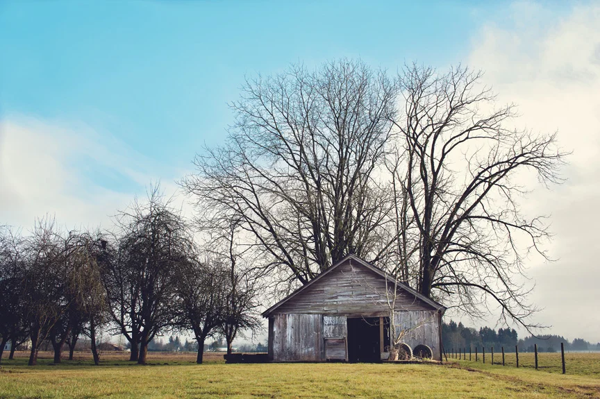 barn10vintage.jpg