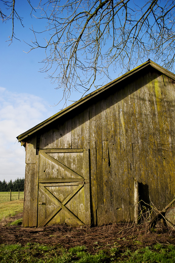 barn11.jpg