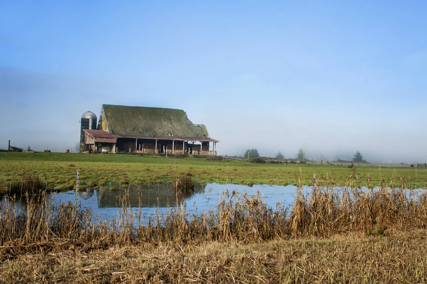broken barn Battle Ground Wa.jpg
