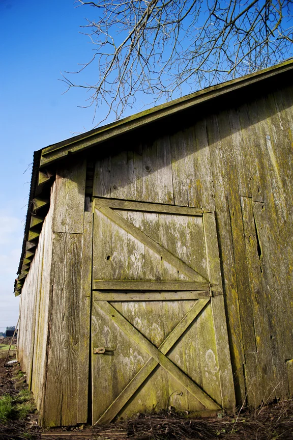 single door.jpg