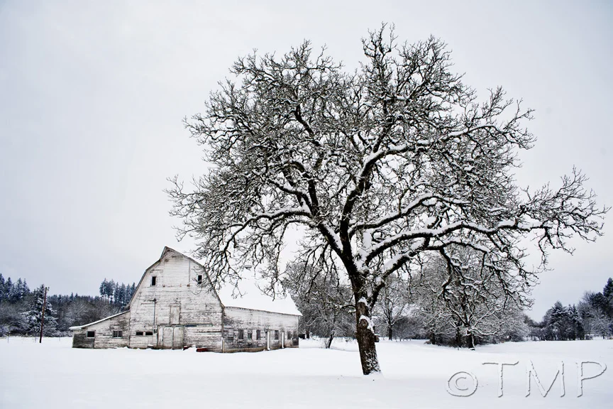 wintery barn.jpg
