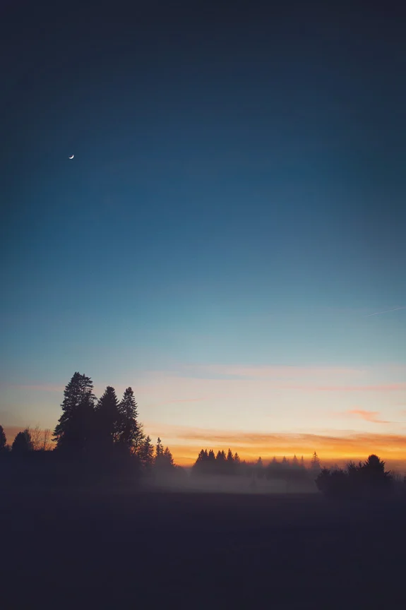 foggy sunset vertical.jpg
