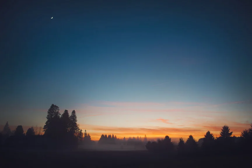 foggysunset.jpg