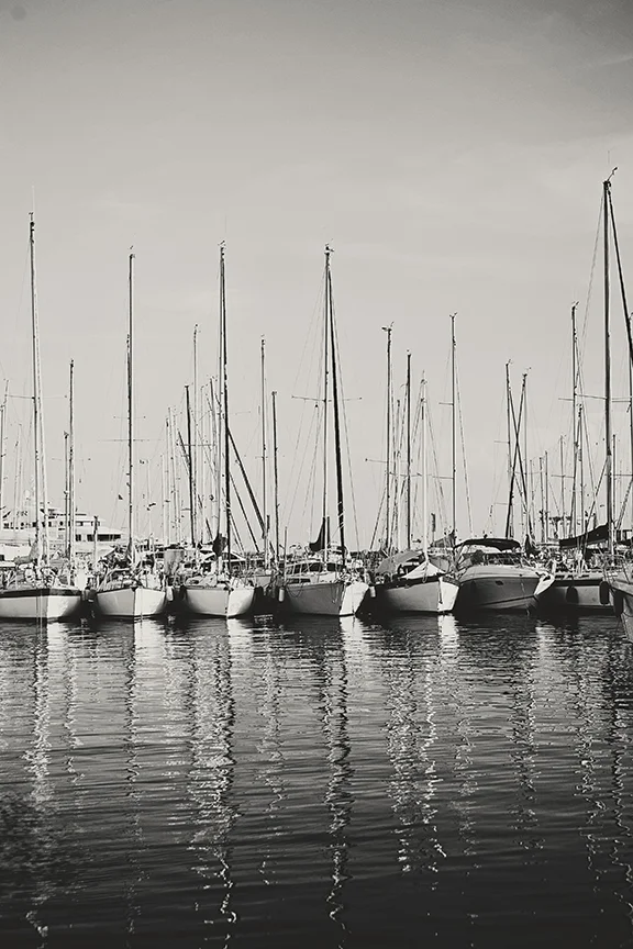 DSC_0558bw.jpg