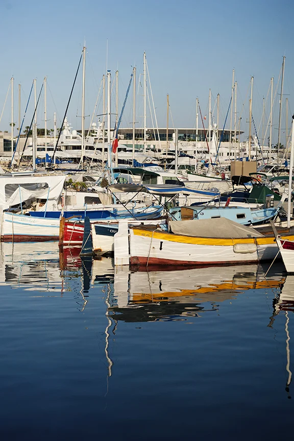 DSC_0566.jpg