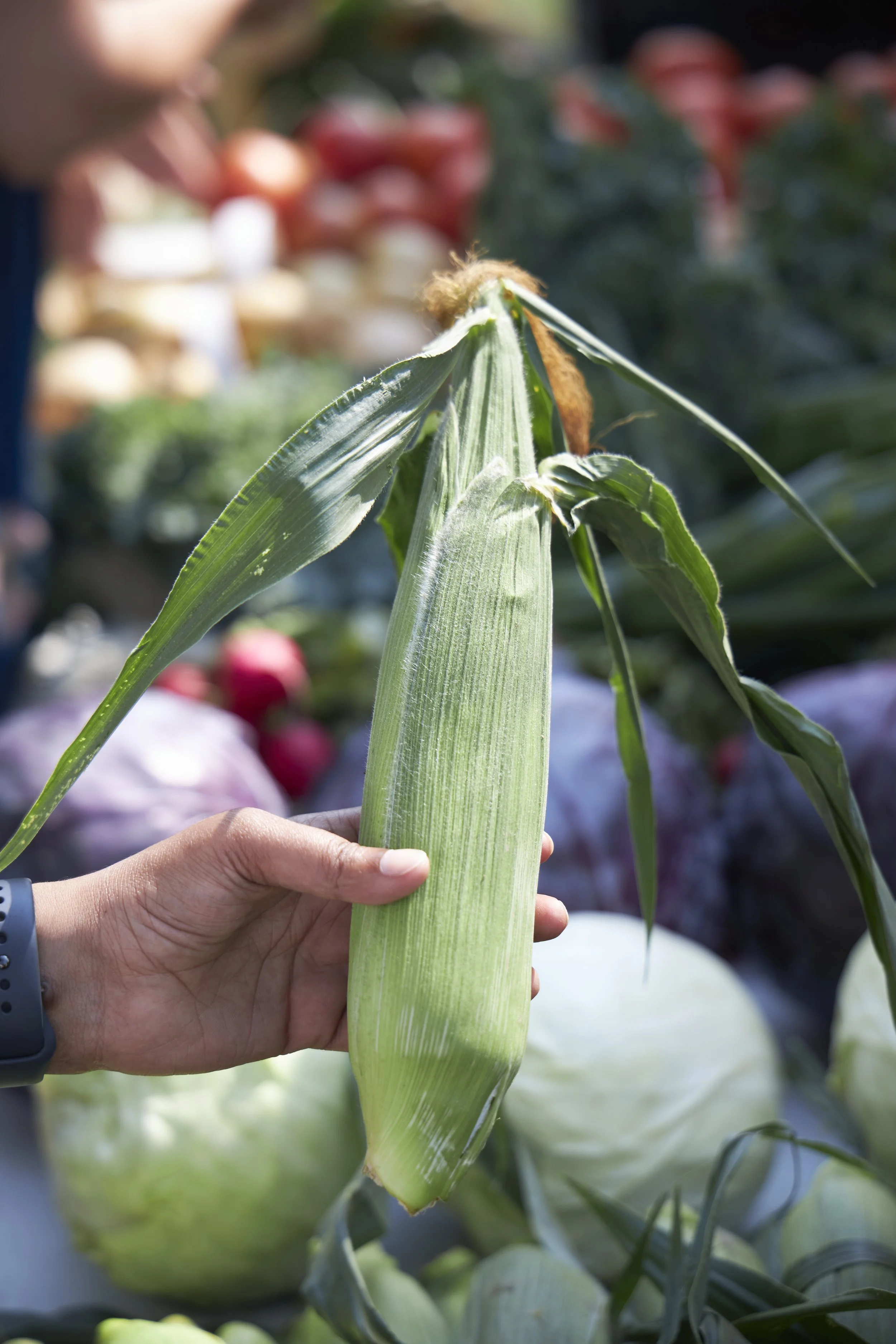 2021_08_08_AC_Farmers Market-1175.jpg