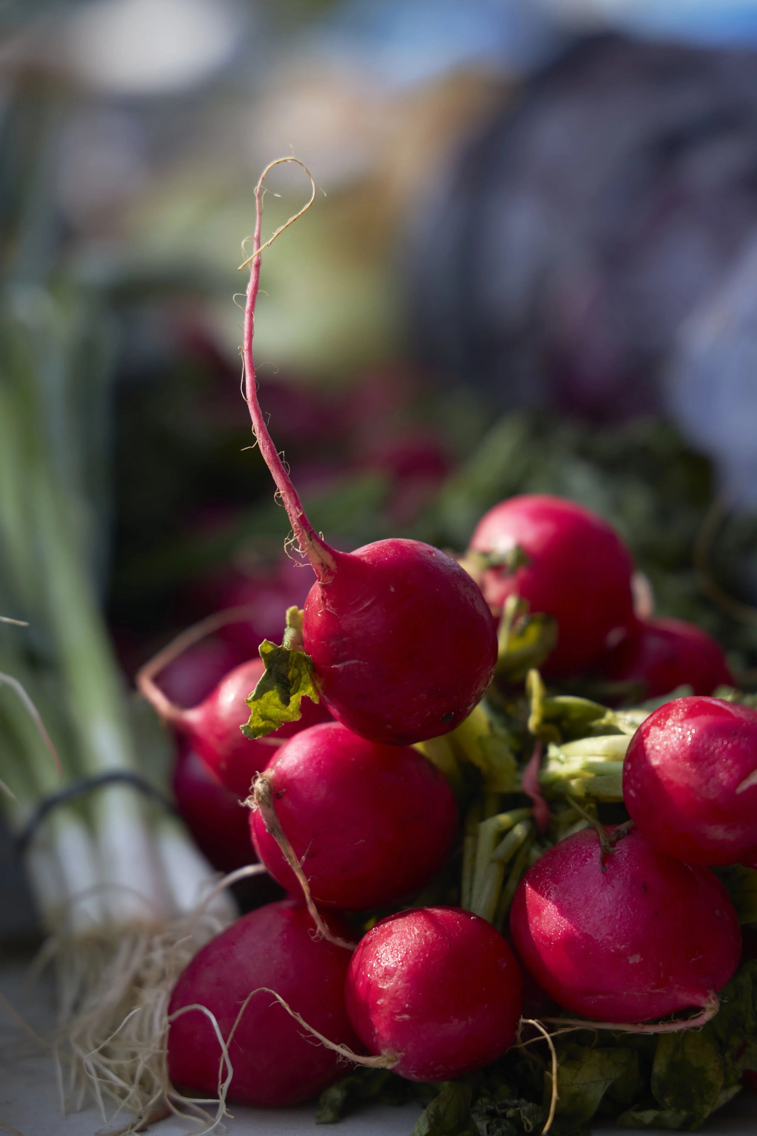 2021_08_08_AC_Farmers Market-587.jpg