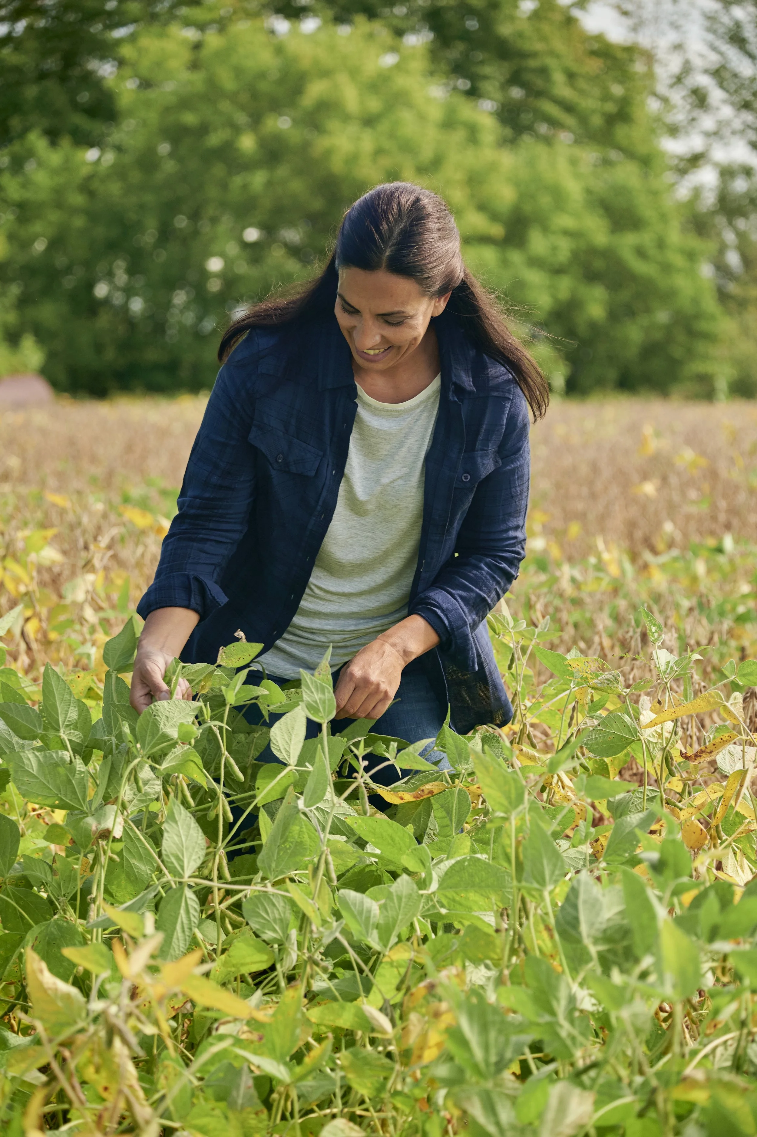 2021_09_12_SC Soy Bean-4282.jpg