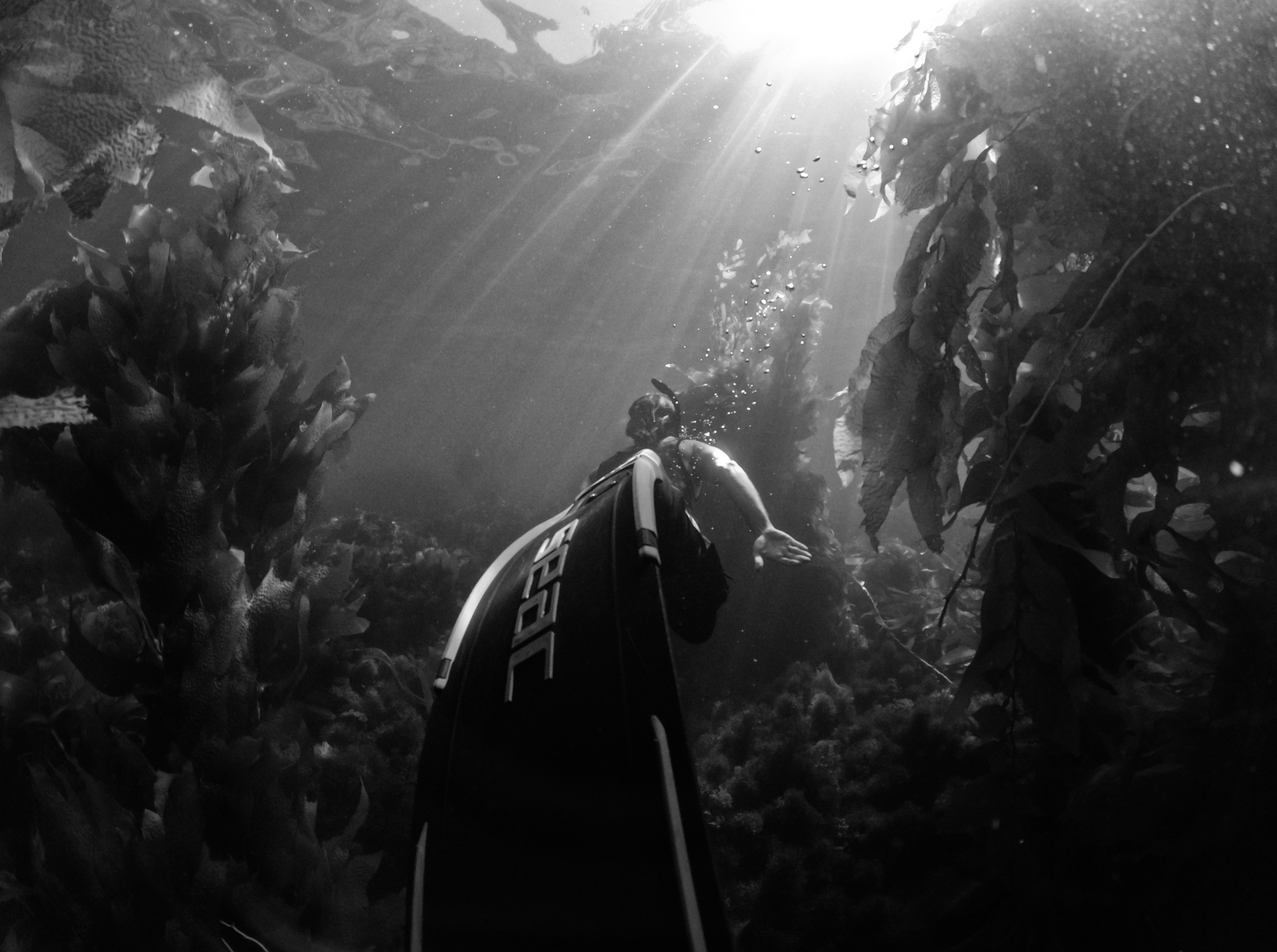 Screen Shot 2022-10-25 at 12.03.17 AM.png