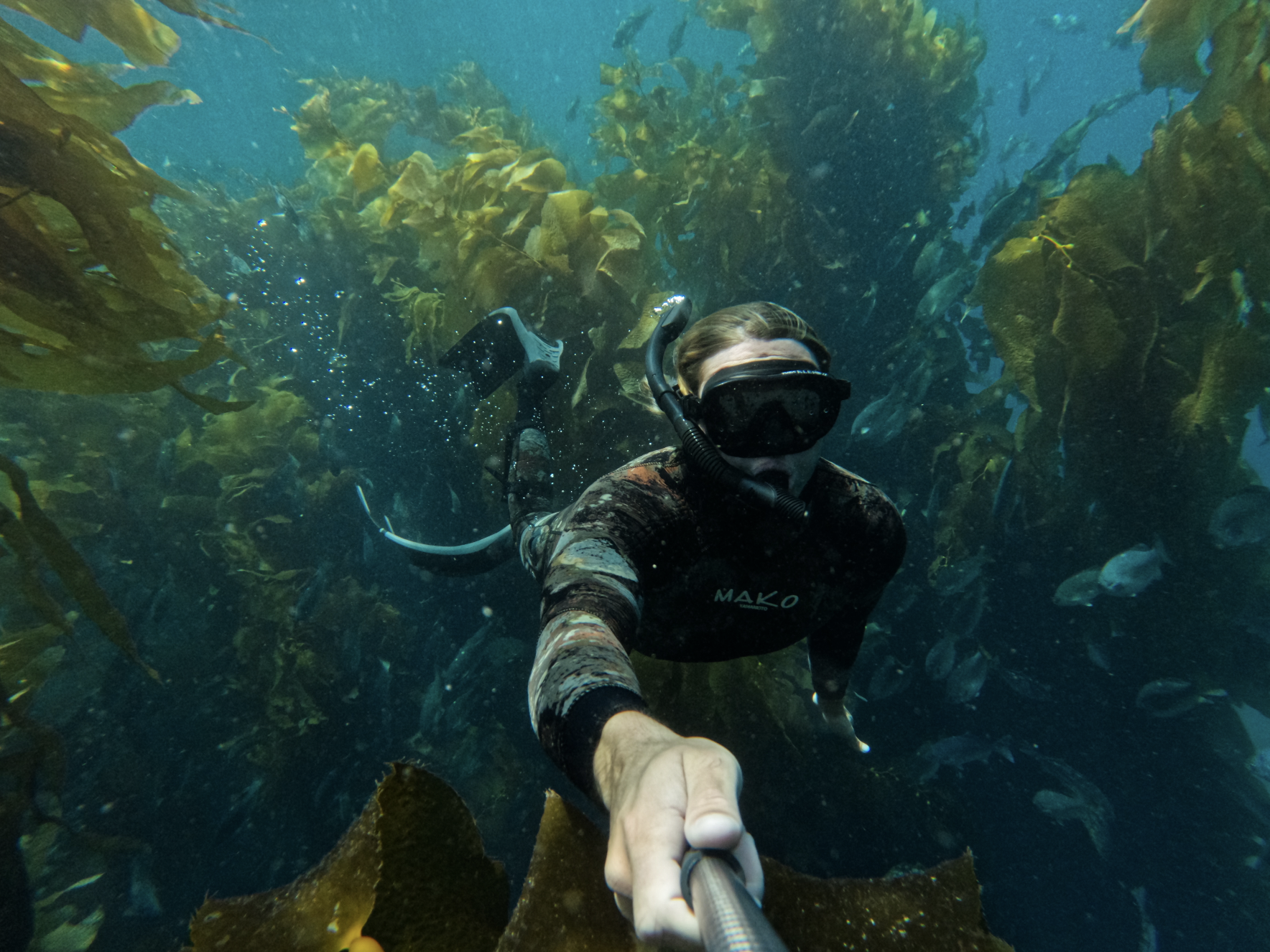 Screen Shot 2022-10-25 at 12.04.14 AM.png