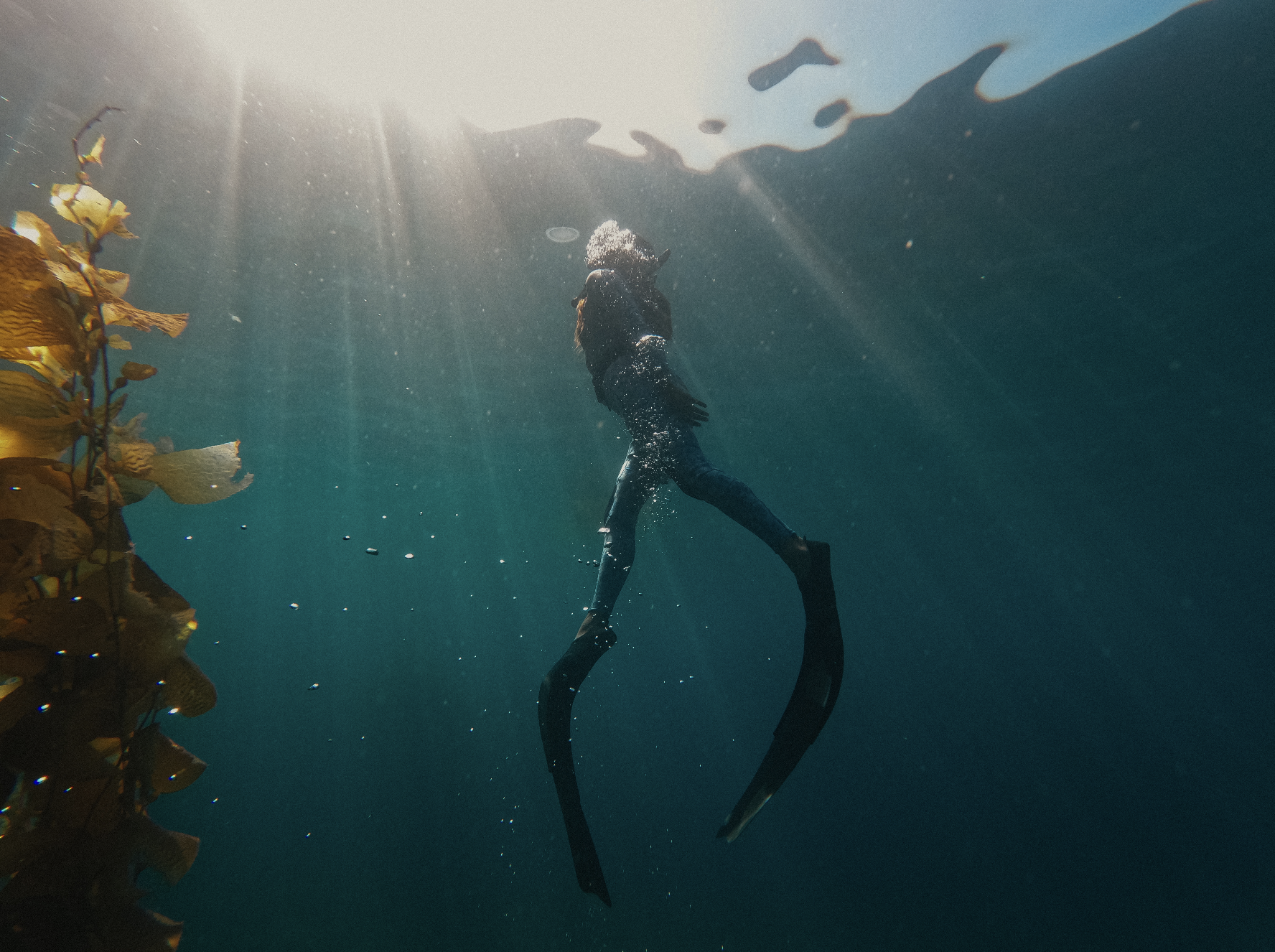 Screen Shot 2022-10-25 at 12.01.57 AM.png