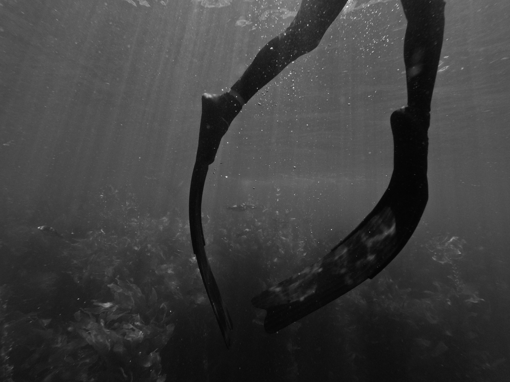 Screen Shot 2022-10-25 at 12.03.28 AM.png