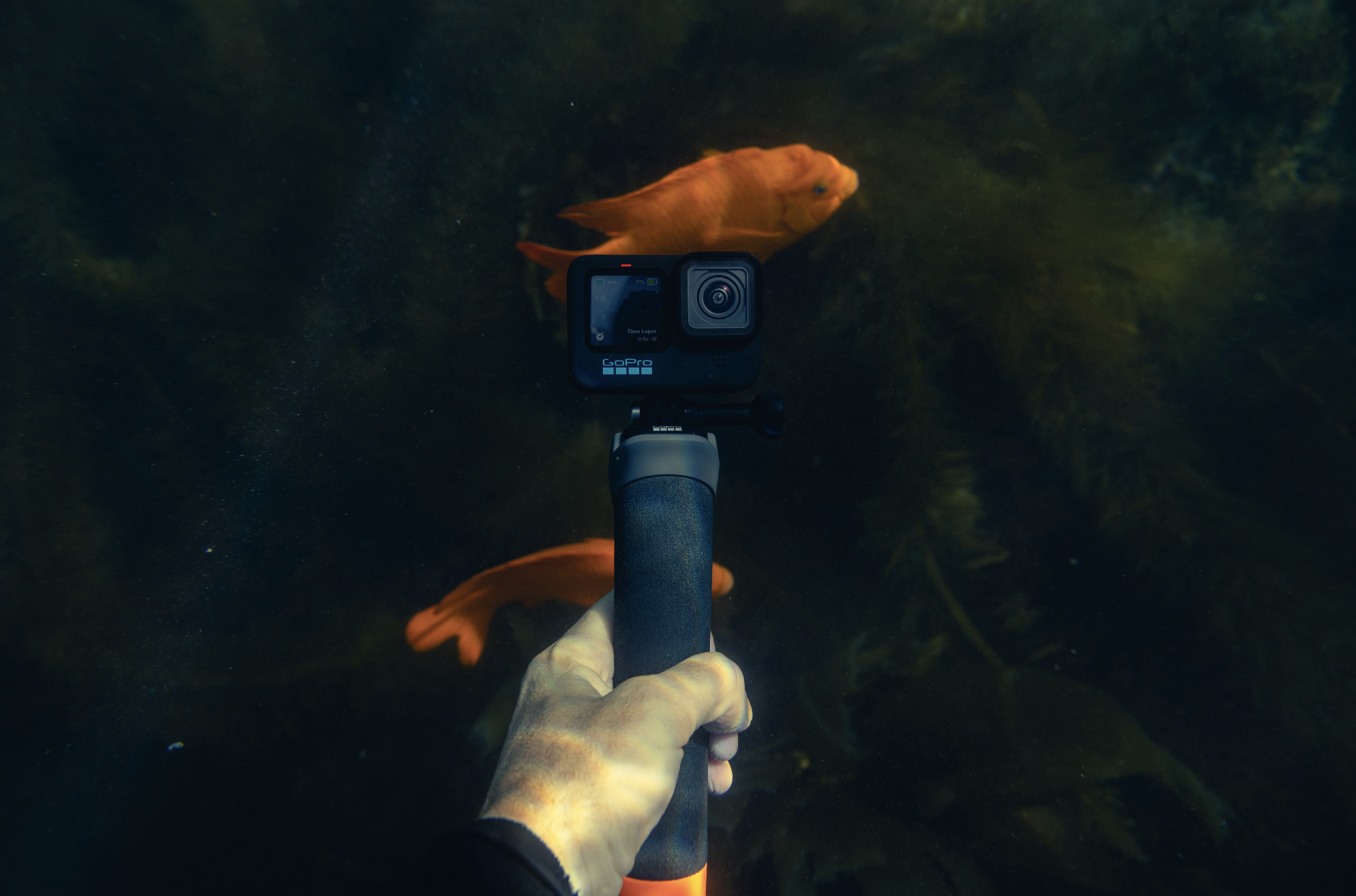 Screen Shot 2022-10-25 at 12.00.57 AM.png