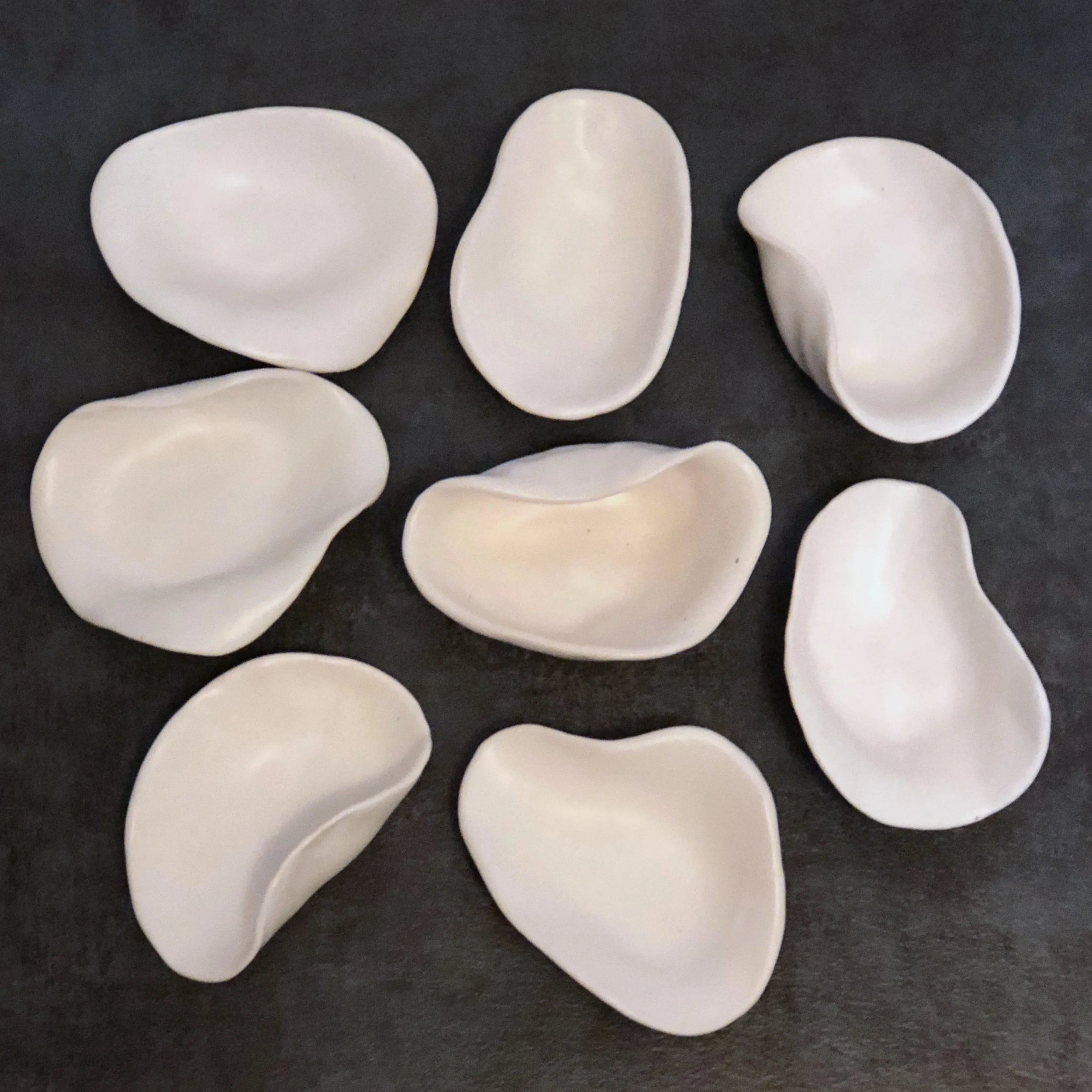 Shells- CUSTOM ORDER