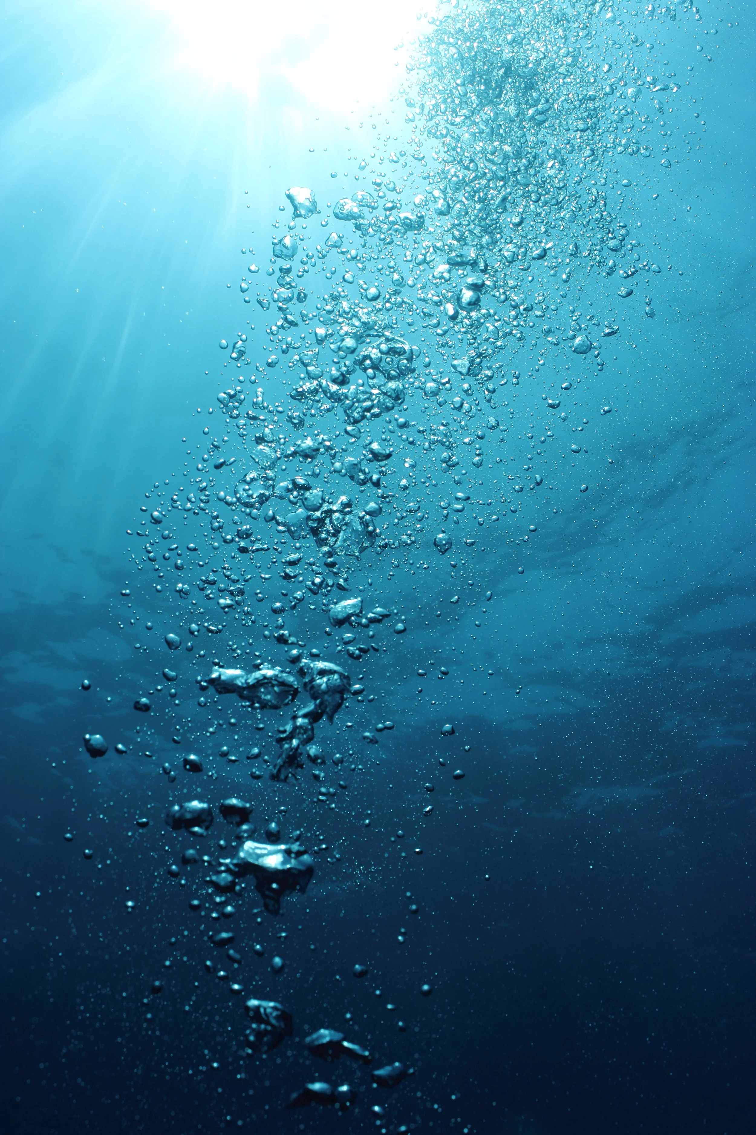 iStock-177417872.jpg