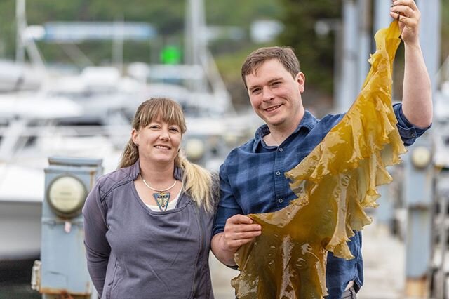 A HUGE congratulations to our farmer partners Lexa and Alf, of @kodiak_kelp_company! This duo (and their team) just wrapped up kelp harvest 2020 and hauled in over 300,000 pounds of kelp, sustainably farmed in the crisp waters surrounding Kodiak Island. We’re proud to support local Alaskan fishermen-turned-kelp-farmers, who truly understand the ecological and societal benefits of seaweed farming. ⁠
⁠
Want to get in on the seaweed action? Order dried kelp and seaweed pasta through our website! Use the code: GREENSAVINGS for 20% off your order and as always, shipments over $35 ship for free (link in bio).⁠
⁠
📸: @krisluckphoto⁠
-⁠
-⁠
- ⁠
-⁠
-⁠
-⁠
-⁠
#blueevolution #seaweed #delightfullysatisfying #optoutside #explore #ocean #oceanconservation #saveourseas #environment #travel #wanderlust #instago #keepexploring #exploretocreate #discoverearth #travelphoto #travelgram #landscape #nature #alaska #kodiak #kelpfarm #kelpfarmer #farmer #oceanfarmer