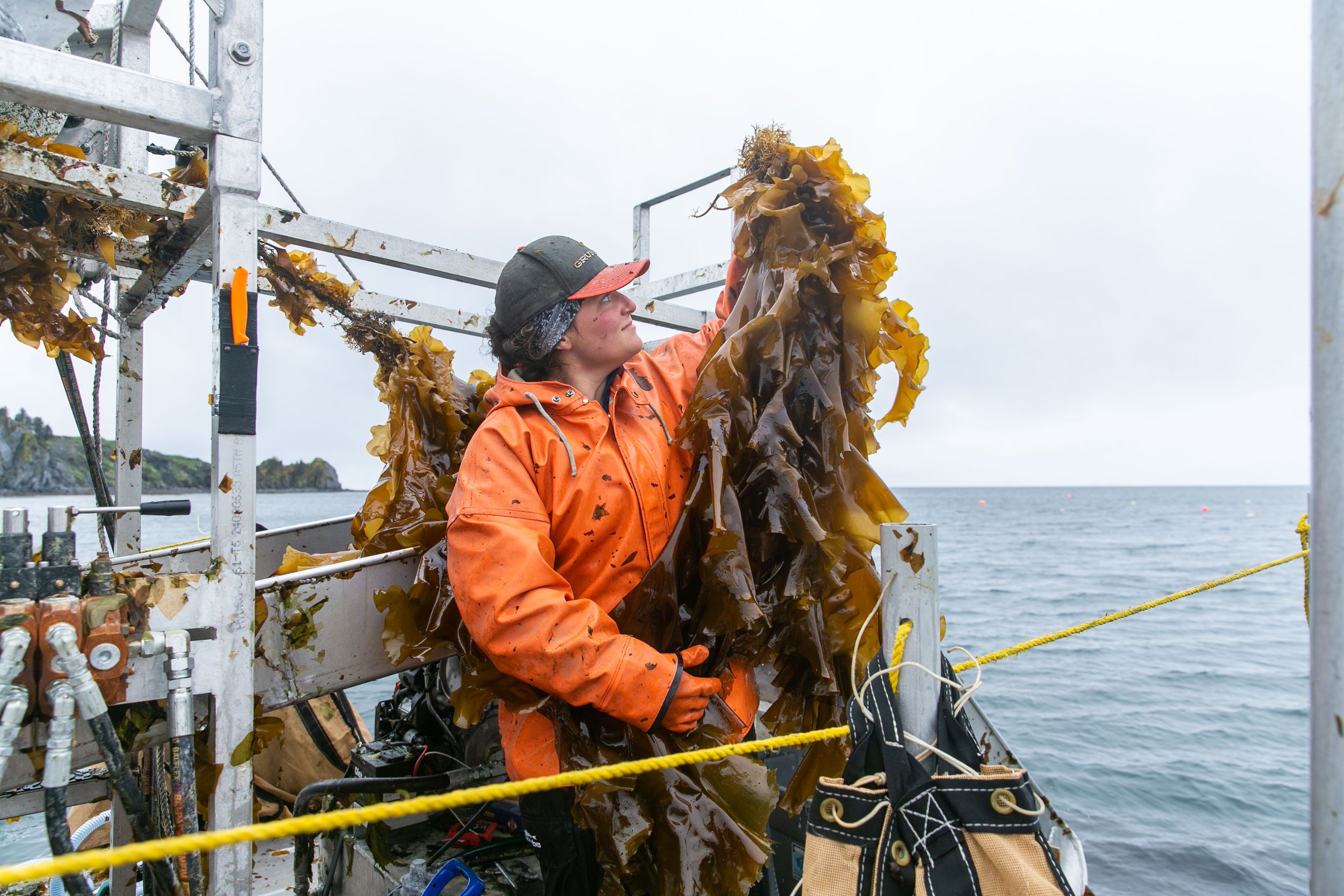 210601 Kodiak Kelp Harvest Photos by Rachelle Hacmac_15.jpg