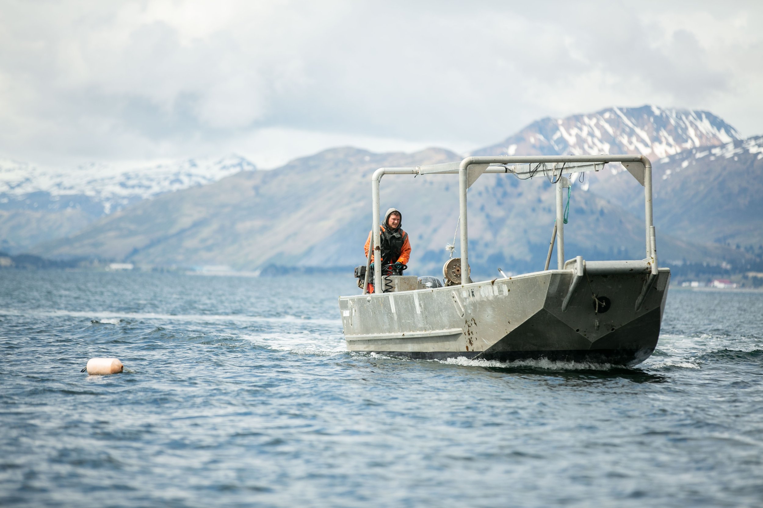 210603 Kodiak Kelp Harvest Photos by Rachelle Hacmac_54.jpg