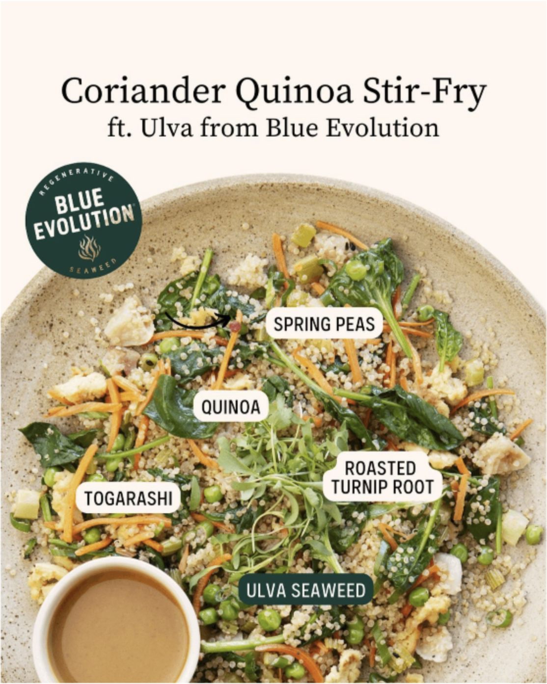 THISTLE FEATURES BLUE EVOLUTION SEA LETTUCE