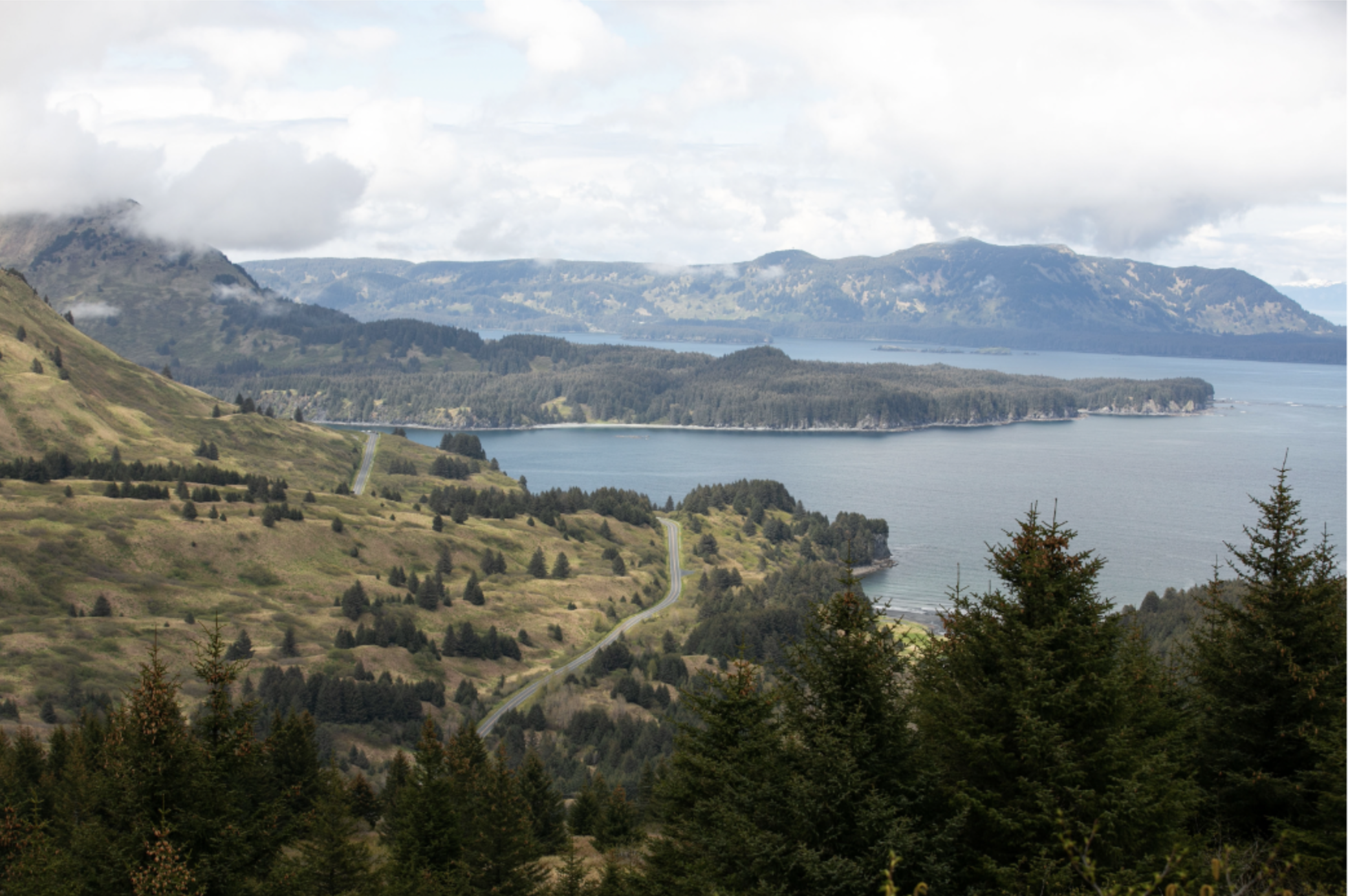 SEA VEGETABLES DON'T BURN