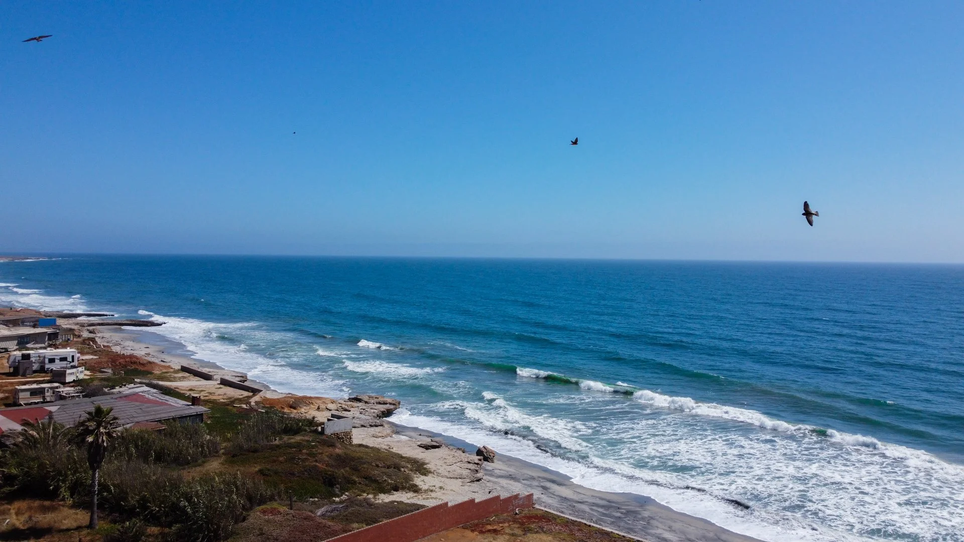 Blue Evolution’s Earth Day Declaration: An Invitation to the Regenerative Seaweed Movement 