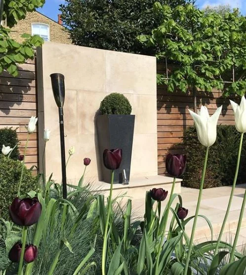 website xxxxxxxx.JPG