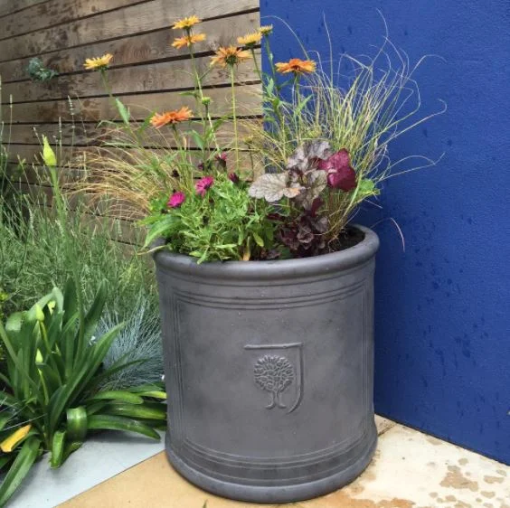 webiste bbbbbbbbbb.JPG