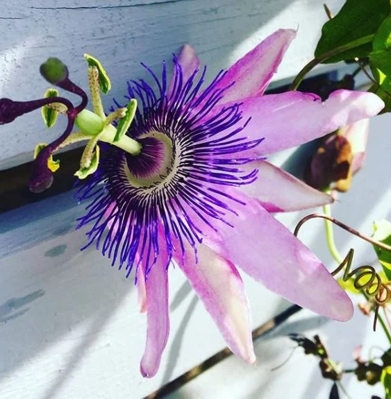 web bbbbbbbbbbbbbb.JPG