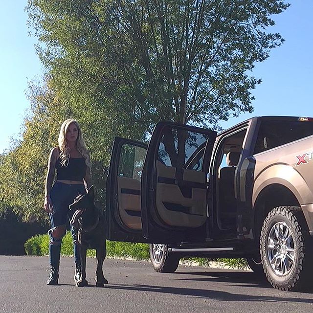 Kovu shooting a scene with the gorgeous @mayradiasgomes ! Kovu was the dog that inspired our trainer to re-visit and take a new approach to the personal protection industry. This Dutch Shepherd shows us time and again just how versatile a high-drive,