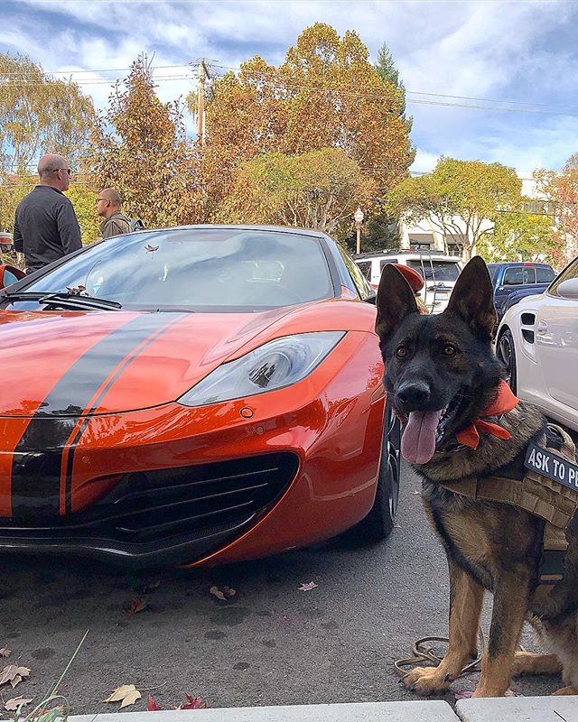 Nero&rsquo;s wasn&rsquo;t letting anyone drive off with his favorite car at Cars &amp; Coffee yesterday 🧡. &mdash;&mdash;&mdash;&mdash;&mdash;&mdash;&mdash;&mdash;&mdash;&mdash;&mdash;&mdash;&mdash;&mdash;&mdash;&mdash;&mdash;&mdash;&mdash;&mdash;&m