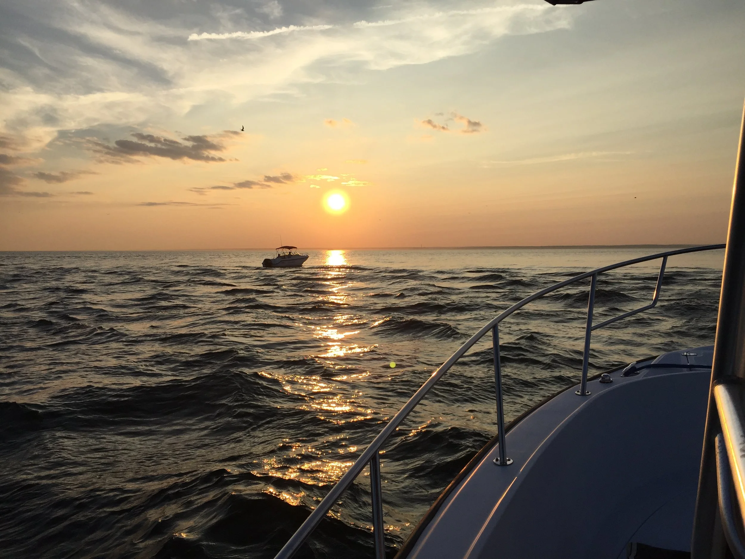 Classic saltwater rip