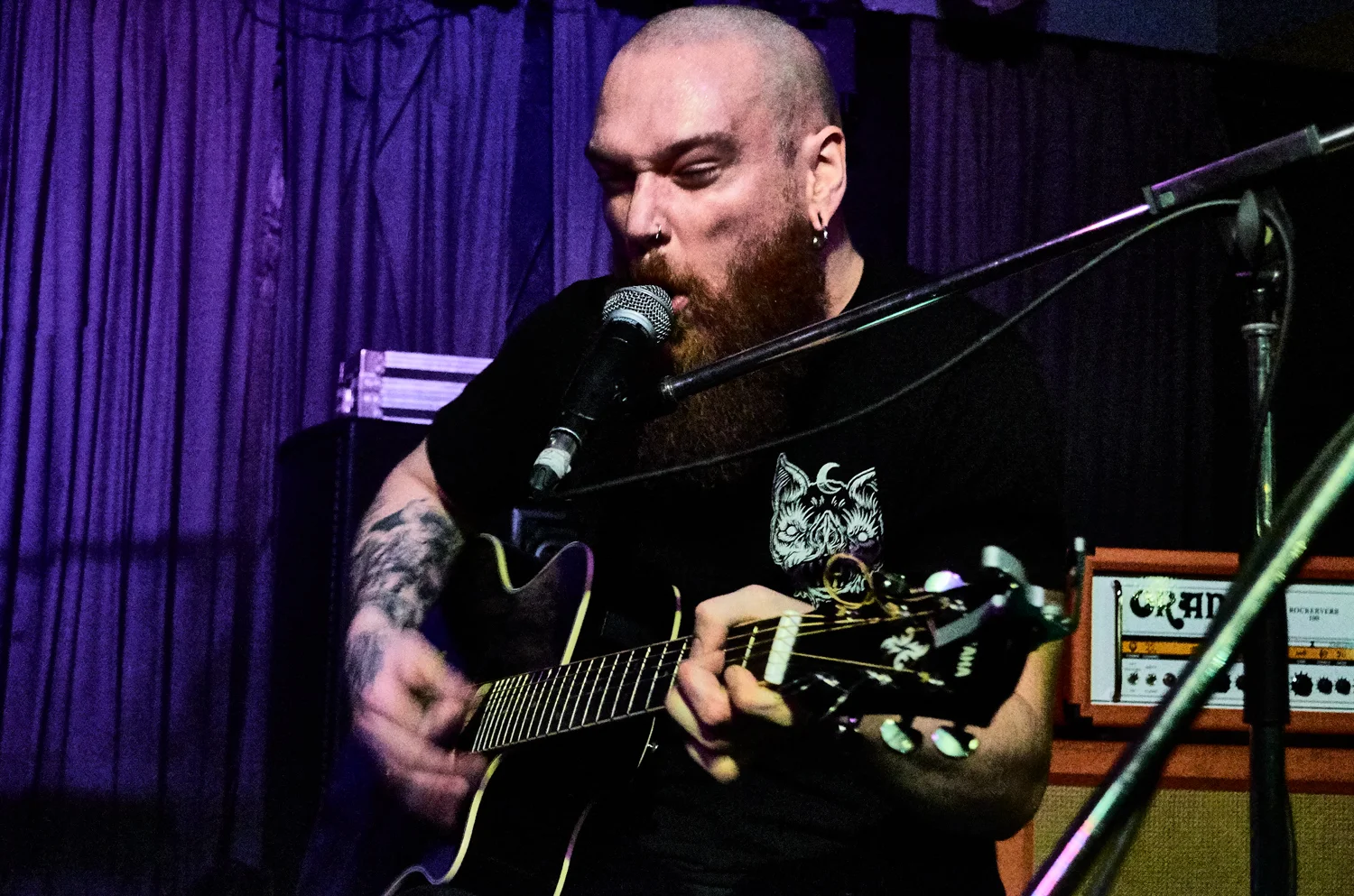 Bastards Buzzard 227.jpg