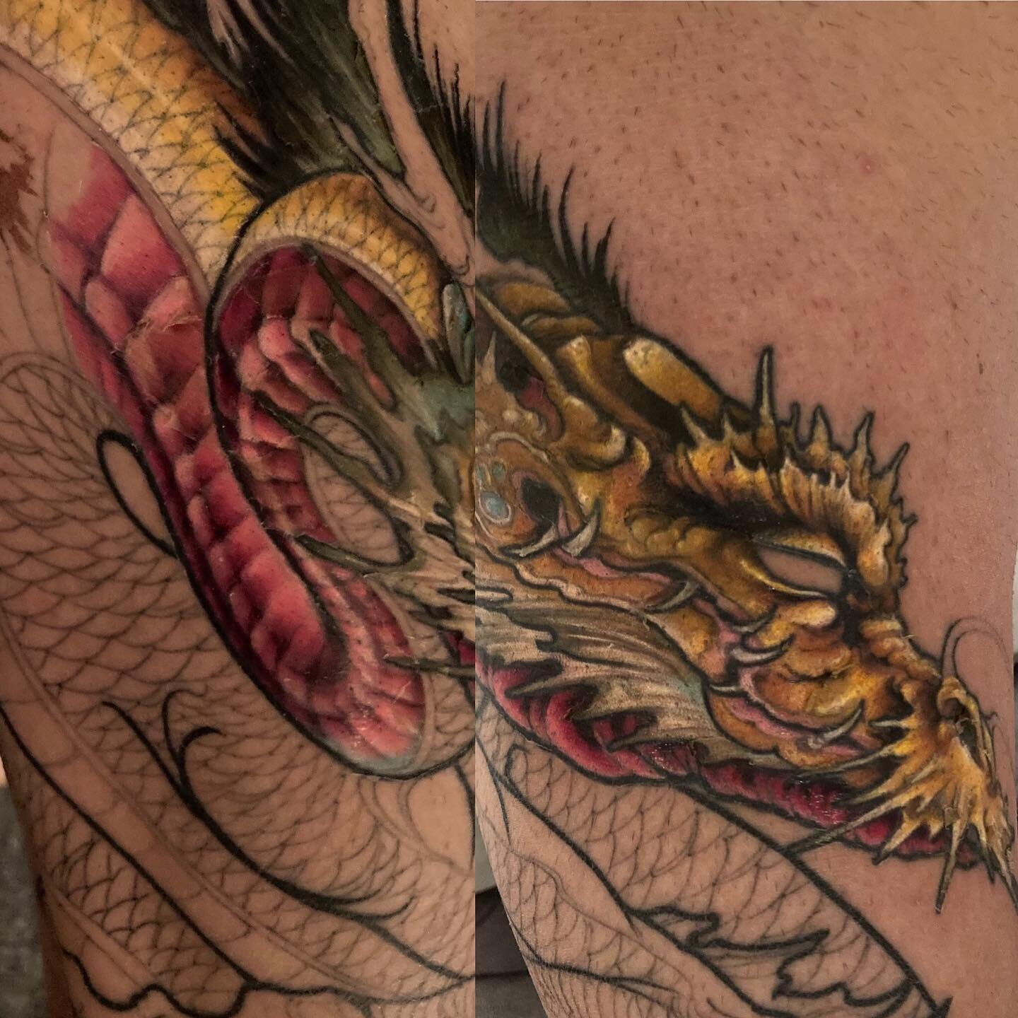 Here's an update on the dragon leg! 

 #Edmonton #tattoo #tattoos #tattoosforwomen #tattoosformen #tattosforgirls #colortattoo #beehaven #edmontontattoo #edmontontattooshow #winnipegtattooconvention #yeg #yegtattoo #yegtattooartist #beehaven #edmonto