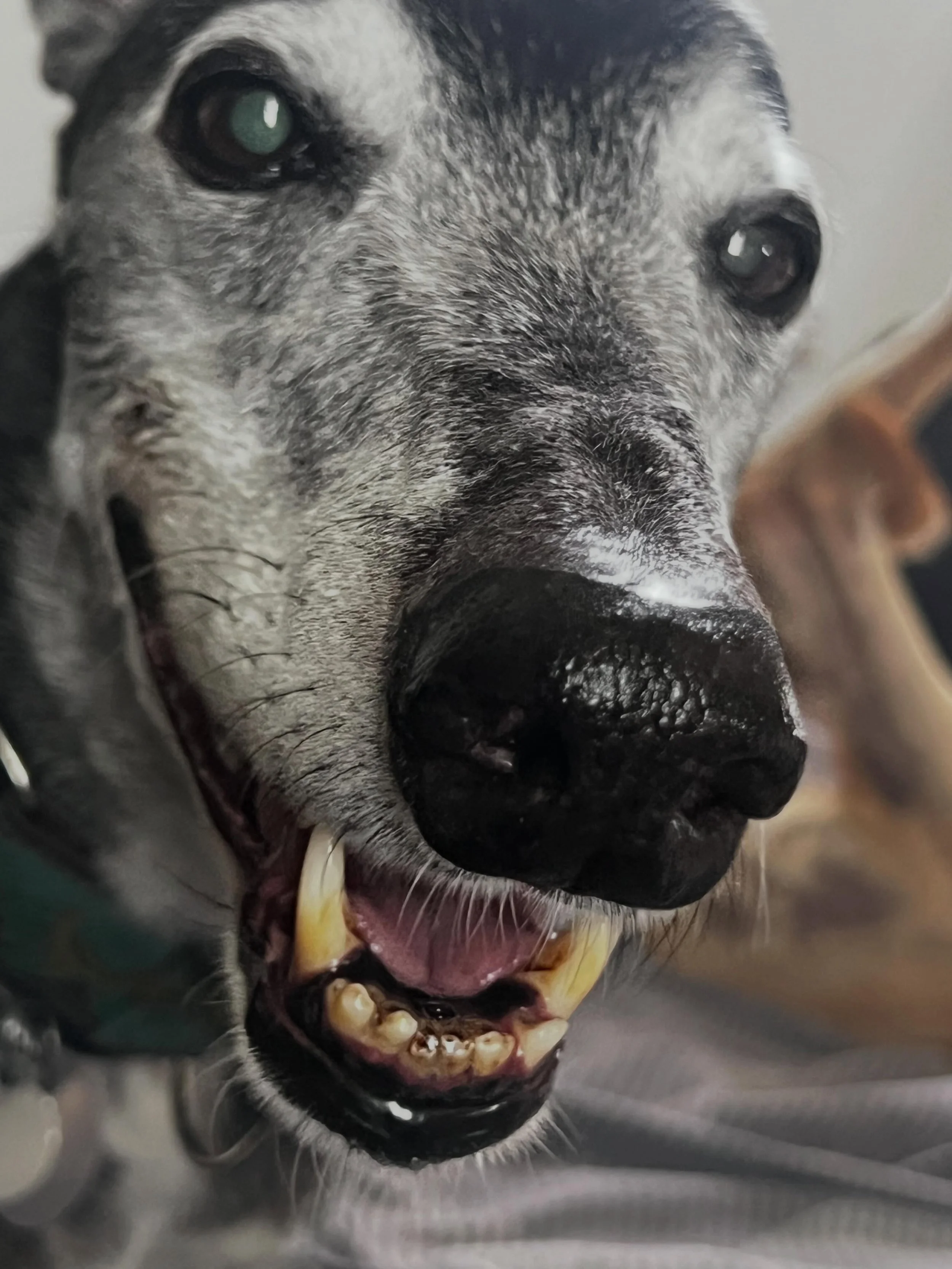Diesel. That&rsquo;s all that I think I need to say 🥰

@nsga_life_is_greyt