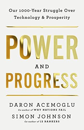 JohnsonAcemoglu book cover.jpeg