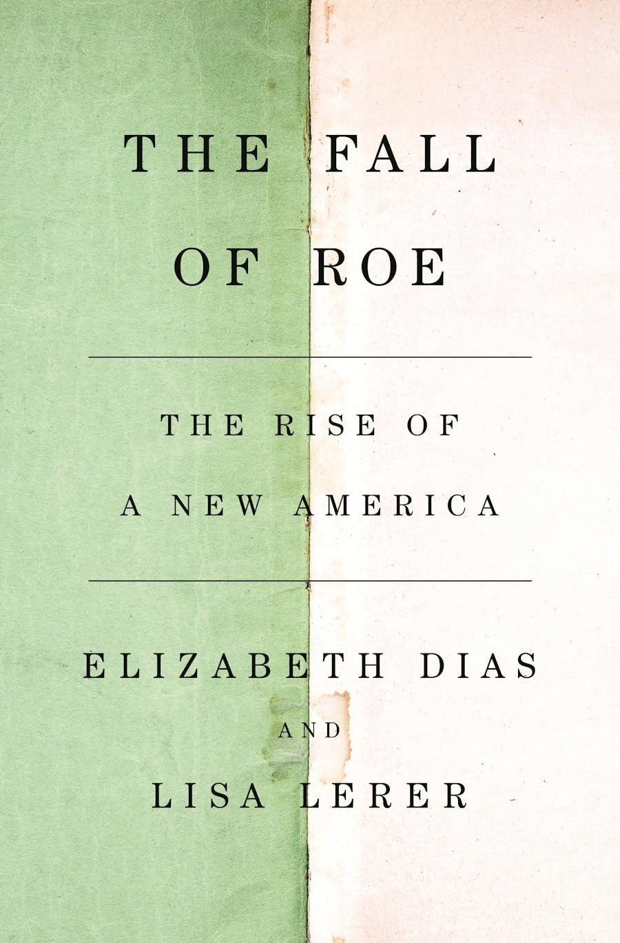 Lerer Dias book cover.jpeg