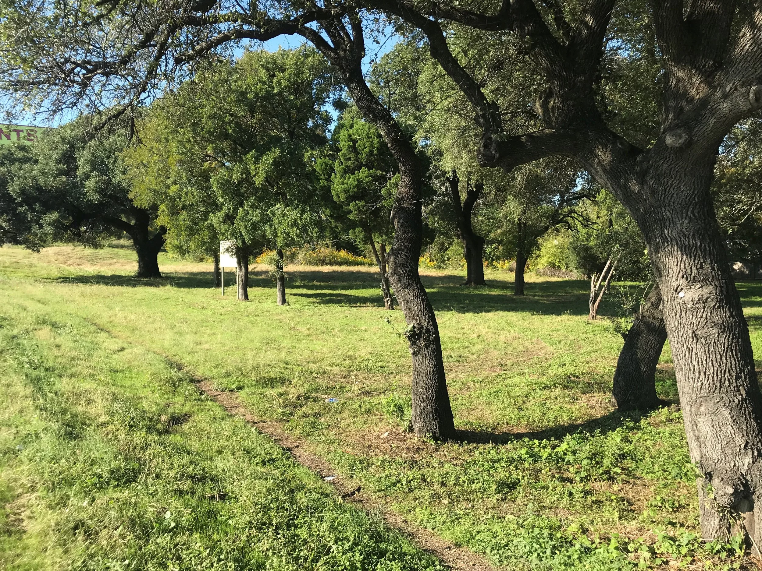 land from front corner.jpg