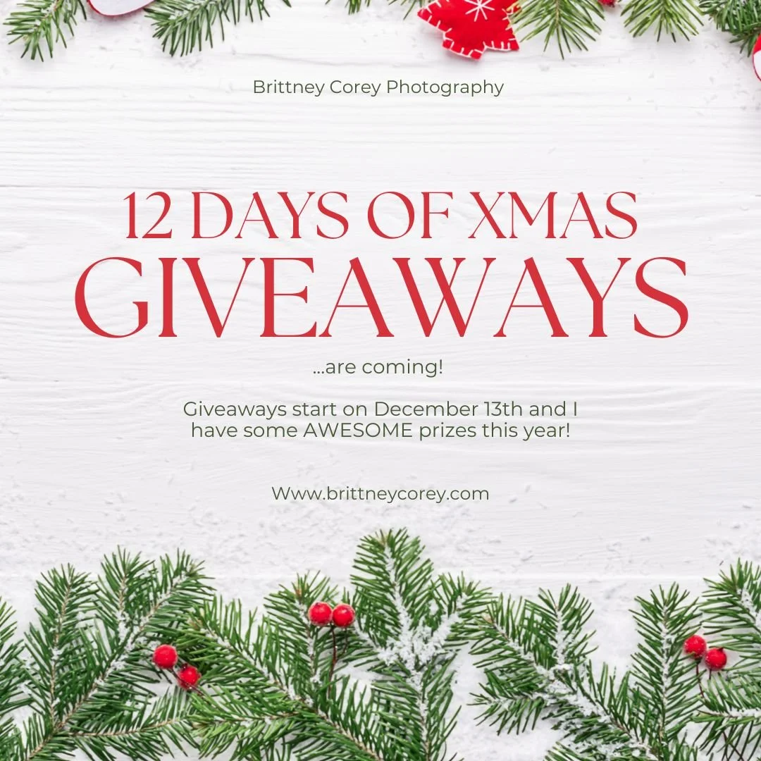 It's that time again!  Time for my annual 12 Days of Xmas Giveaways!

The party kicks off on December 13th!  Who's ready to WlN some fun stuff?? 🙋🎁

Make sure you are following me so you don't miss out... and tag a friend, too!