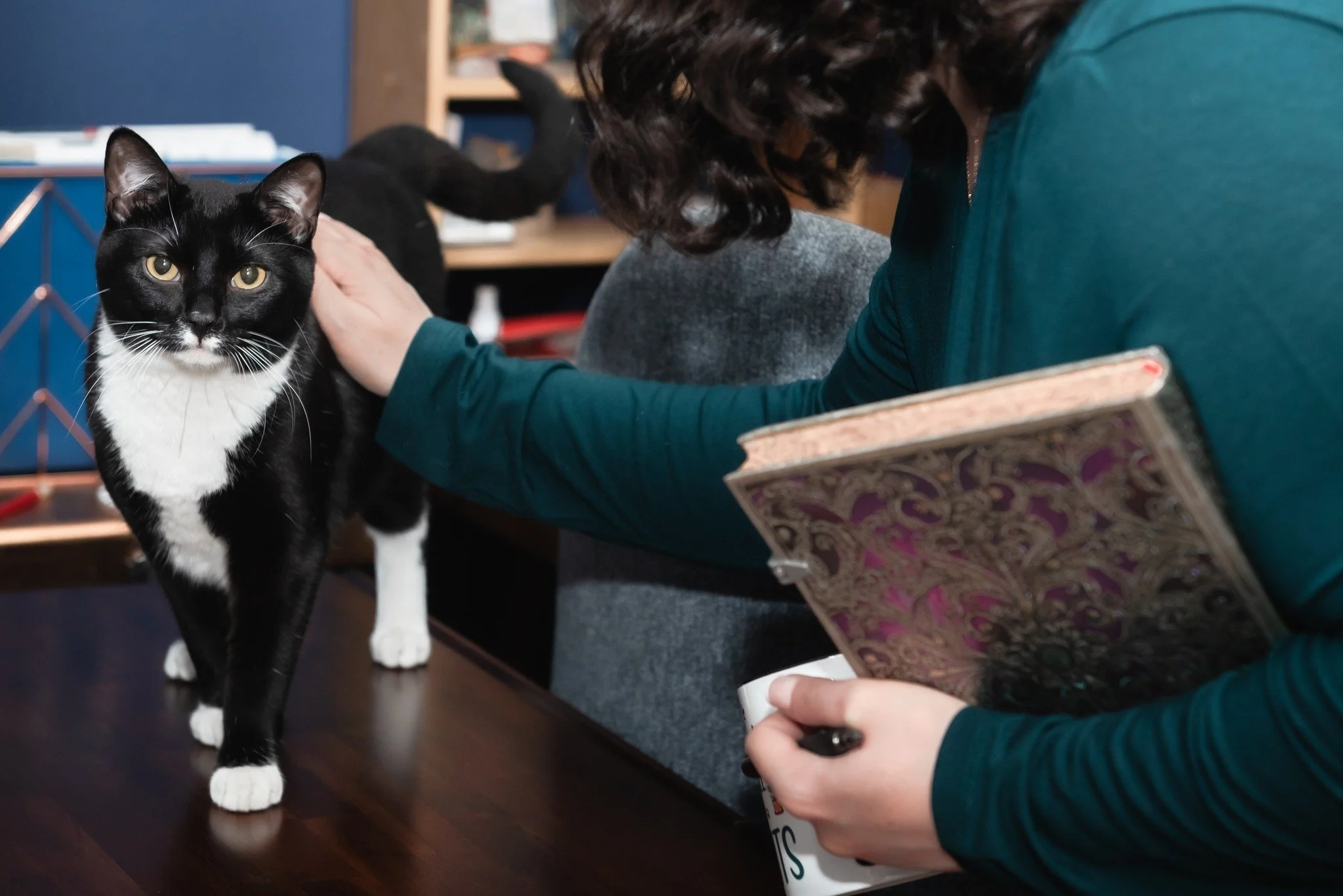 Your brand photography session is more than just an updated headshot&mdash;it&rsquo;s about showing your clients/prospective clients who you are, how you work, and what it feels like to work with your business. For most of us, we are not an &ldquo;is