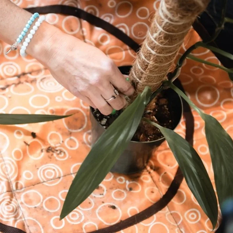 How Long Does a Business Branding Photography Session Take? ~  Vancouver, WA 