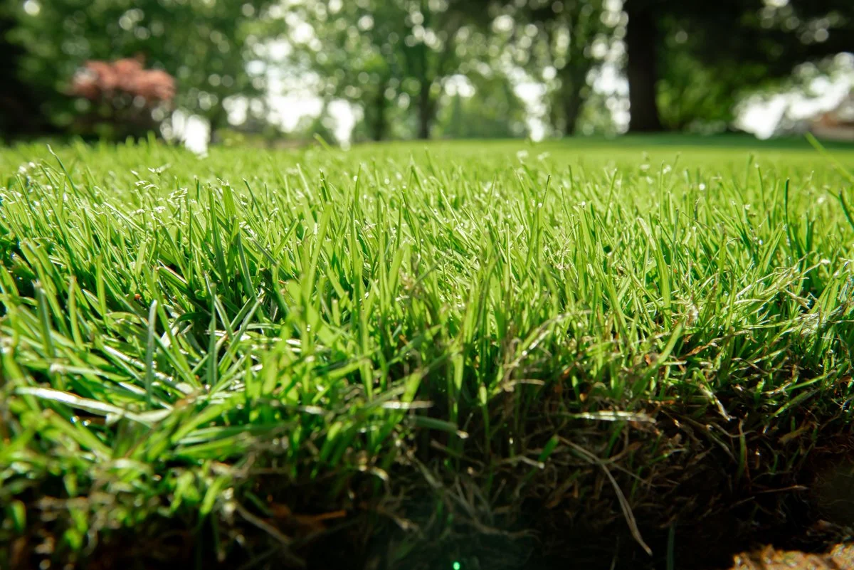 brittney-corey-vancouver-washington-business-branding-photography (6).jpg