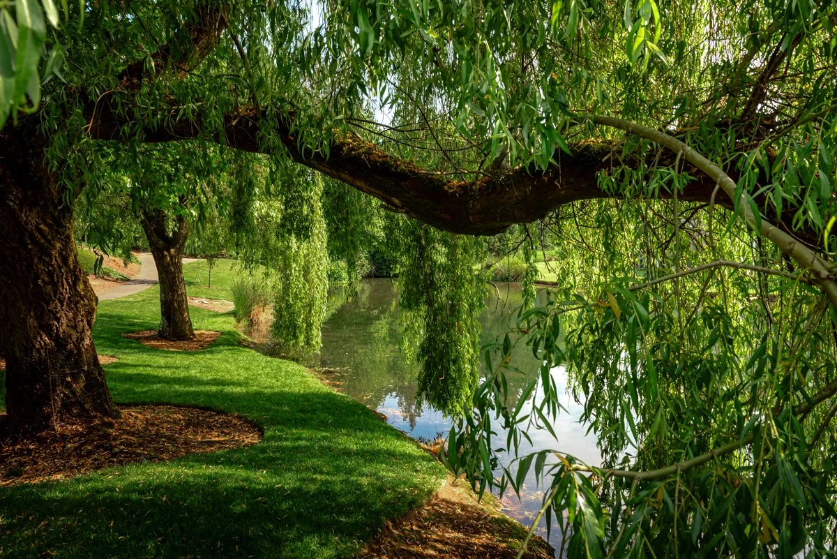 brittney-corey-vancouver-washington-business-branding-photography (3).jpg