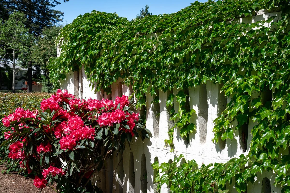 brittney-corey-vancouver-washington-business-branding-photography (7).jpg