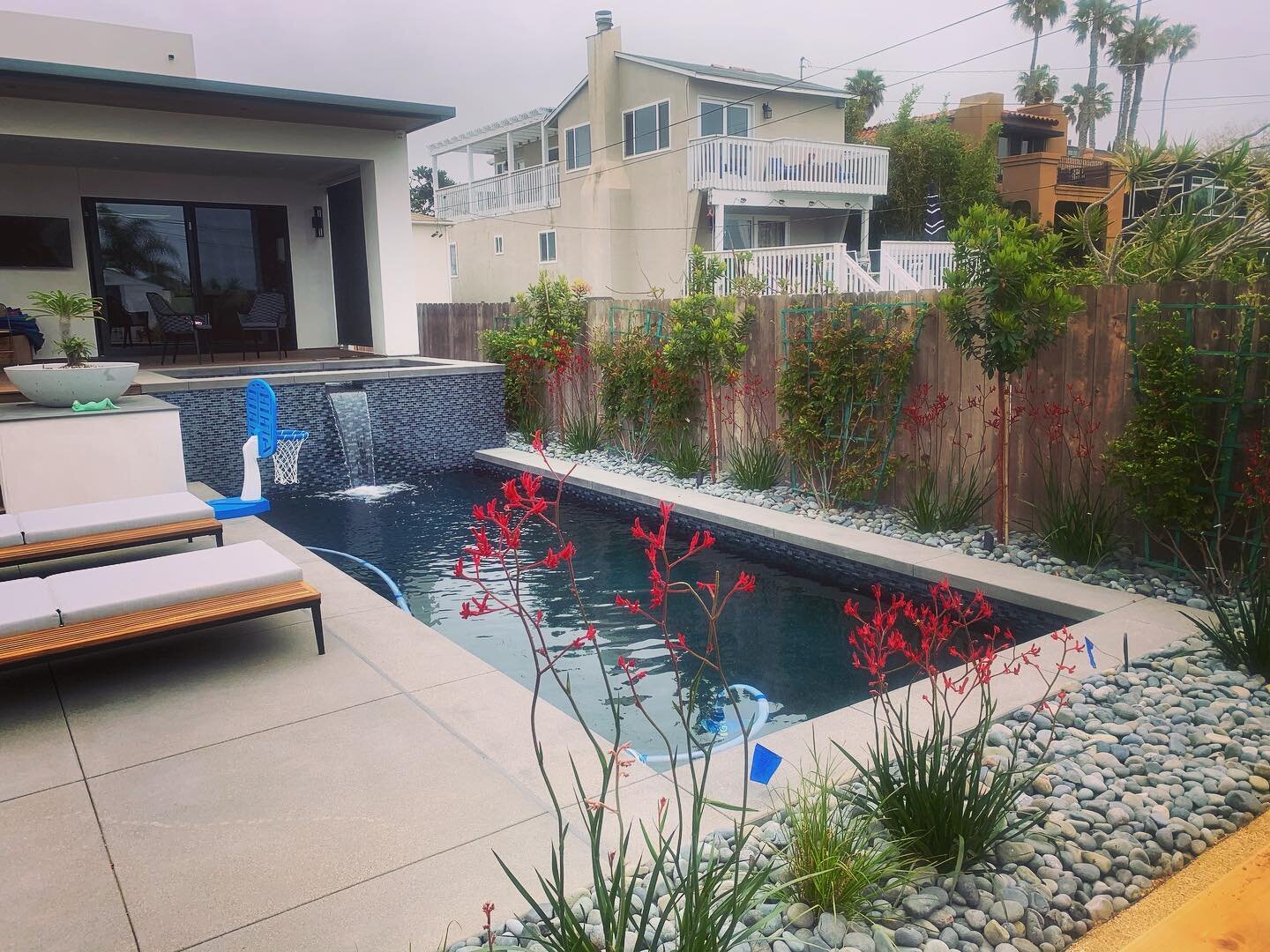 Beautifully situated pool 💙#paradisecustompools#sandiego#summertimeready#glasstile