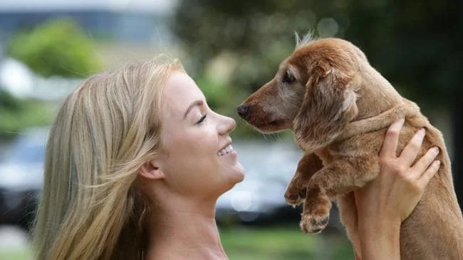 Image photographed by Wentworth Courier
