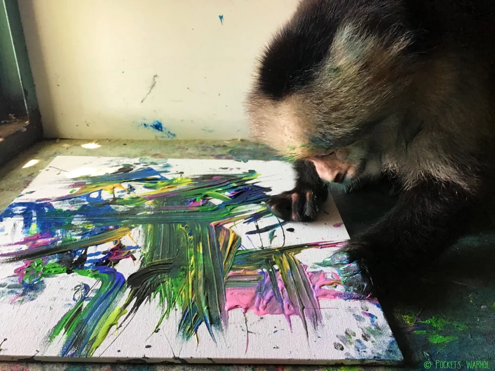 Pockets Warhol Will Paint His Way Into Your Heart — Jejune Magazine