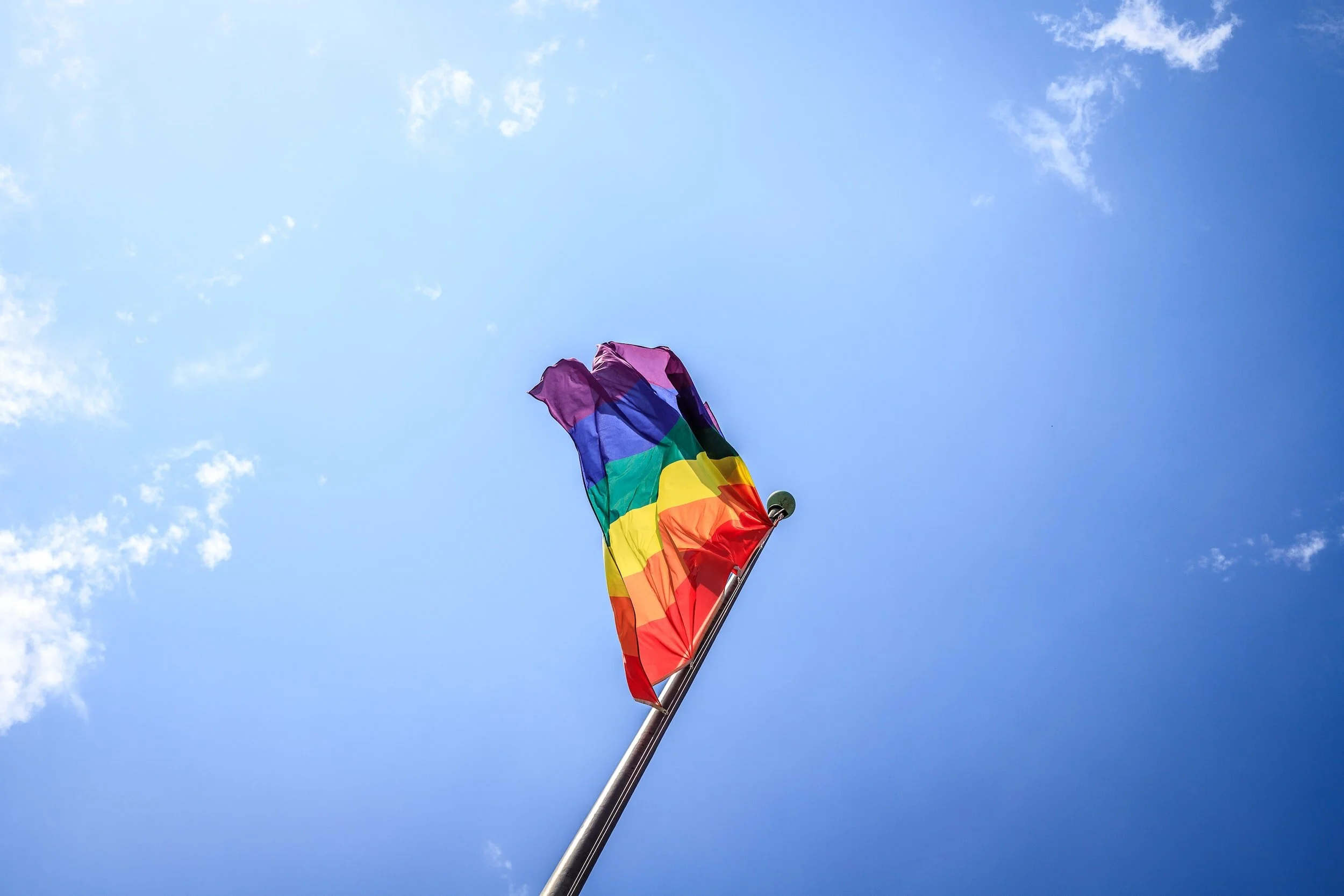 The Colors of Pride