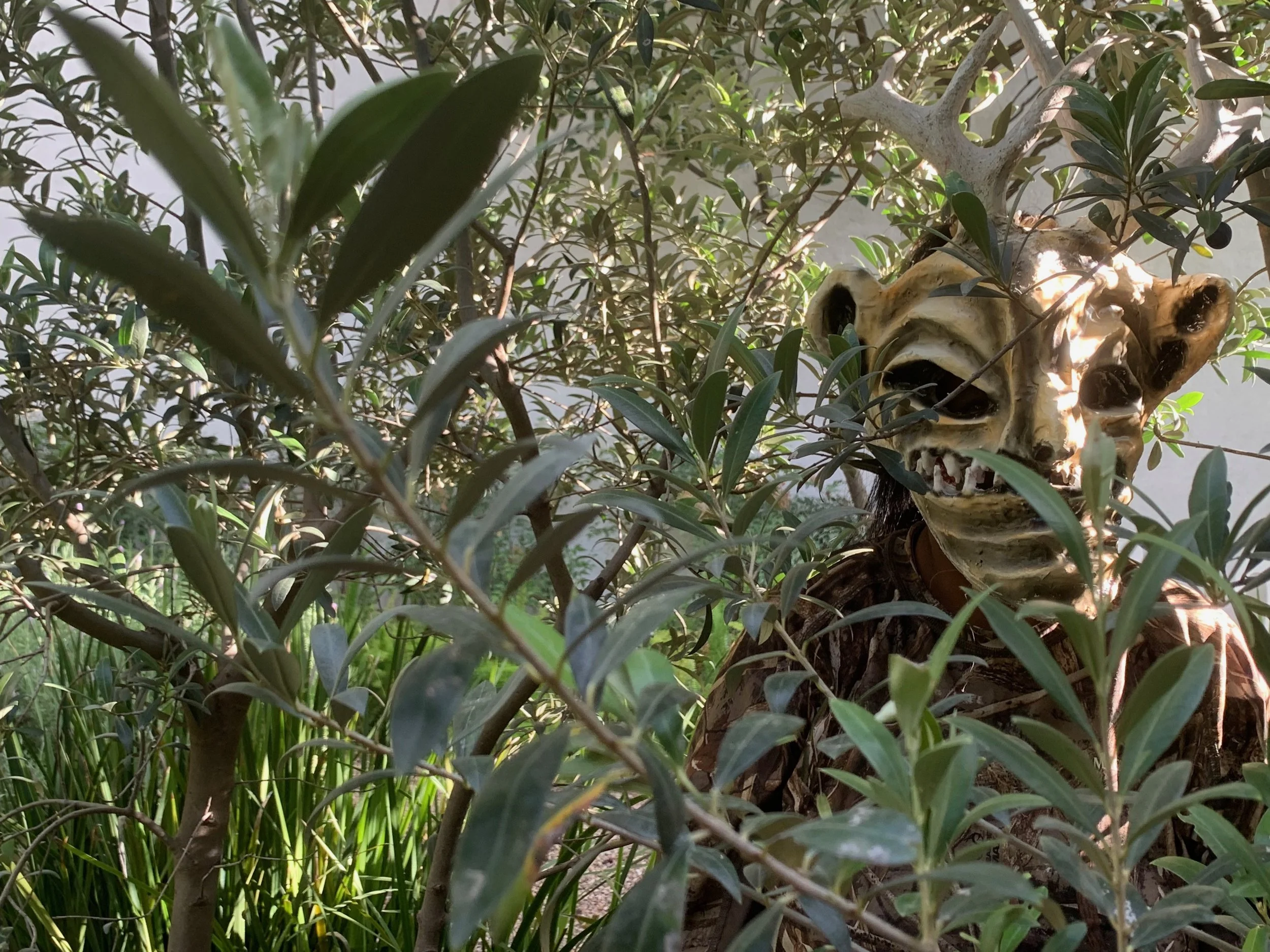 Reflections with Janet Sternburg 